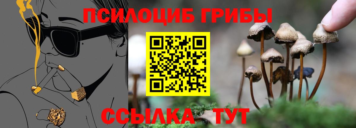 Псилоцибиновые грибы GOLDEN TEACHER Миасс
